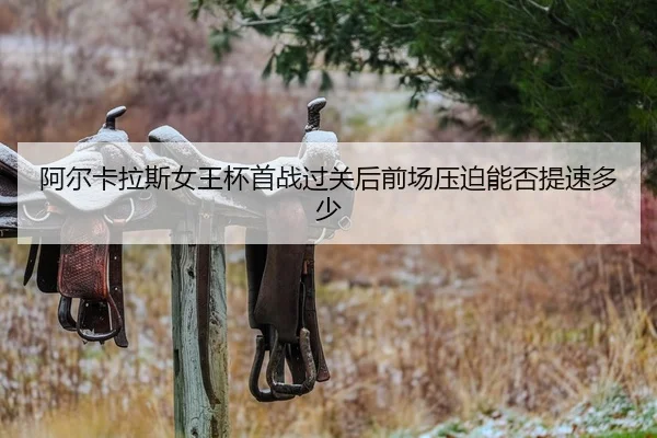 a-er-ka-la-si-nv-wang-bei-shou-zhan-guo-guan-hou-qian-chang-ya-po-neng-fou-ti-su-duo-shao-1-398.jpg